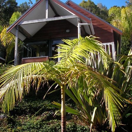 Bay Cabinz Motel Paihia Esterno foto